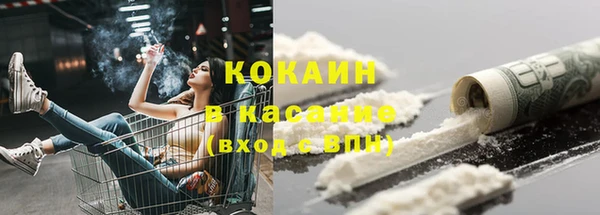 ешки Новодвинск