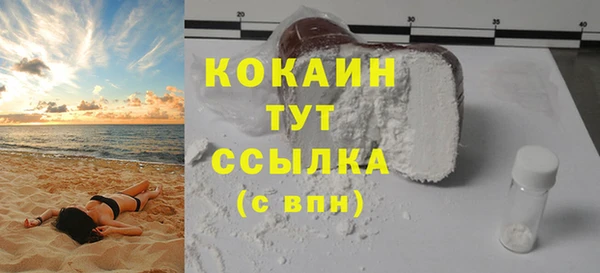 ешки Новодвинск