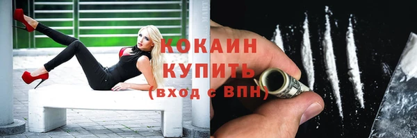 ешки Новодвинск