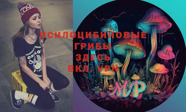 ешки Новодвинск