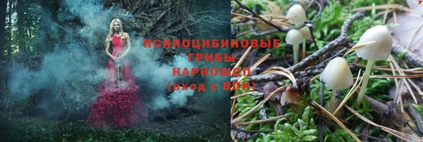 ешки Новодвинск
