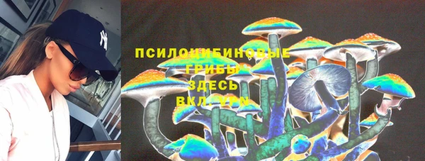 ешки Новодвинск