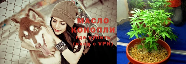 ешки Новодвинск