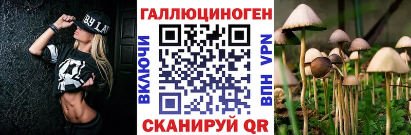 Купить  Соликамск  Псилоцибиновые грибы Psilocybe 