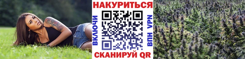 Шишки марихуана ГИДРОПОН  Купить закладки  Соликамск 